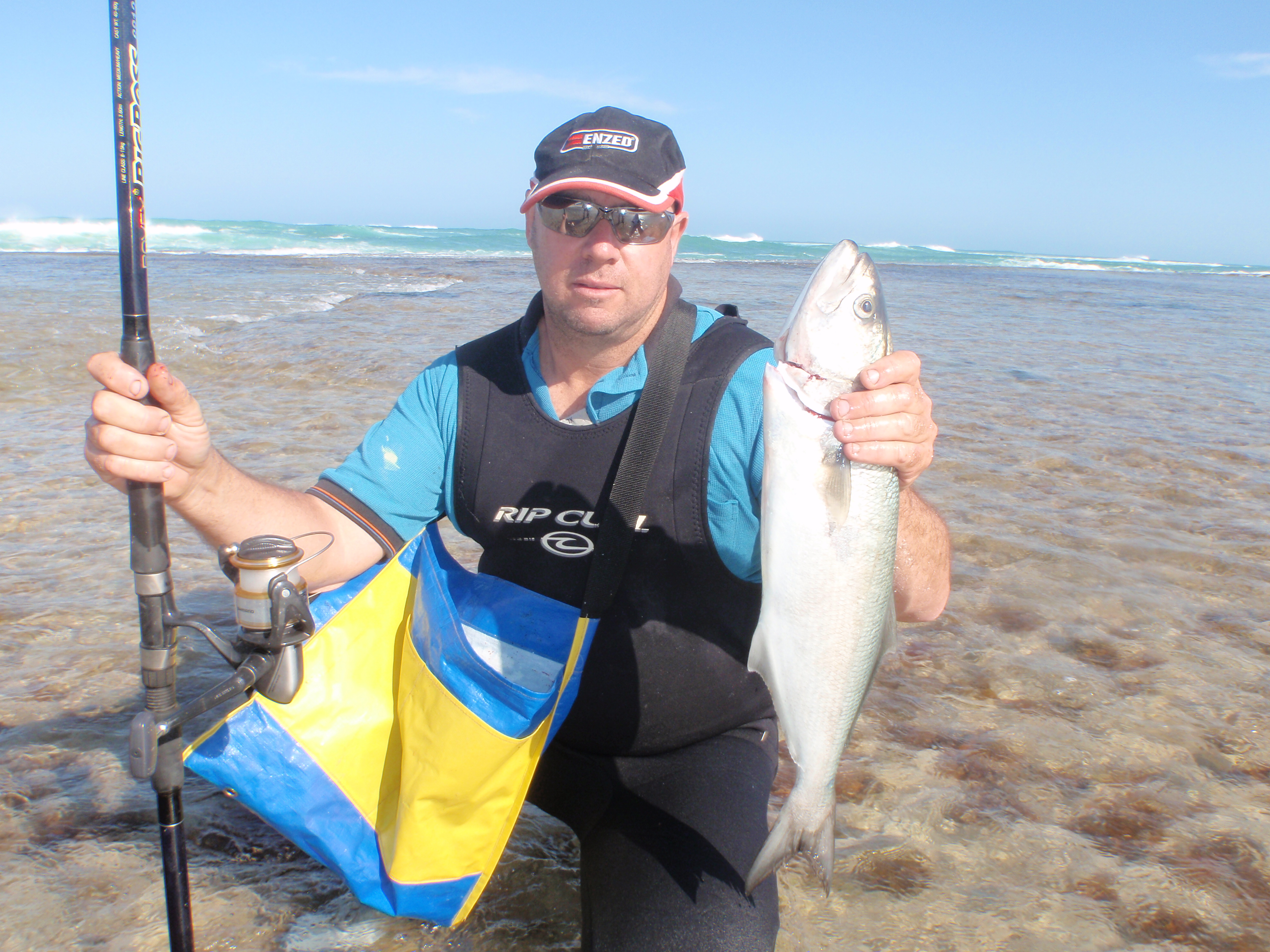 tabletop reef ,tailor report ,south gero Fishing